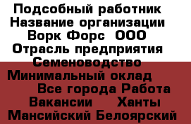 Подсобный работник › Название организации ­ Ворк Форс, ООО › Отрасль предприятия ­ Семеноводство › Минимальный оклад ­ 30 000 - Все города Работа » Вакансии   . Ханты-Мансийский,Белоярский г.